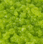 Cavi-Art® Algen-Kaviar, Wasabi-Geschmack, 500g